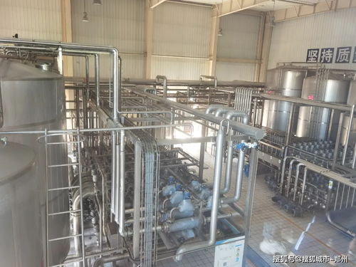 楓葉寶貝探秘花花牛工廠，行走課堂解鎖童年新體驗